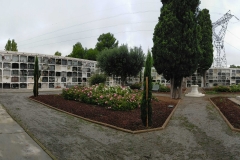 img20201010180631_optimized