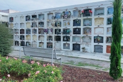 img20201015105240_optimized