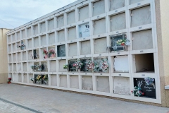 img20201015105608_optimized