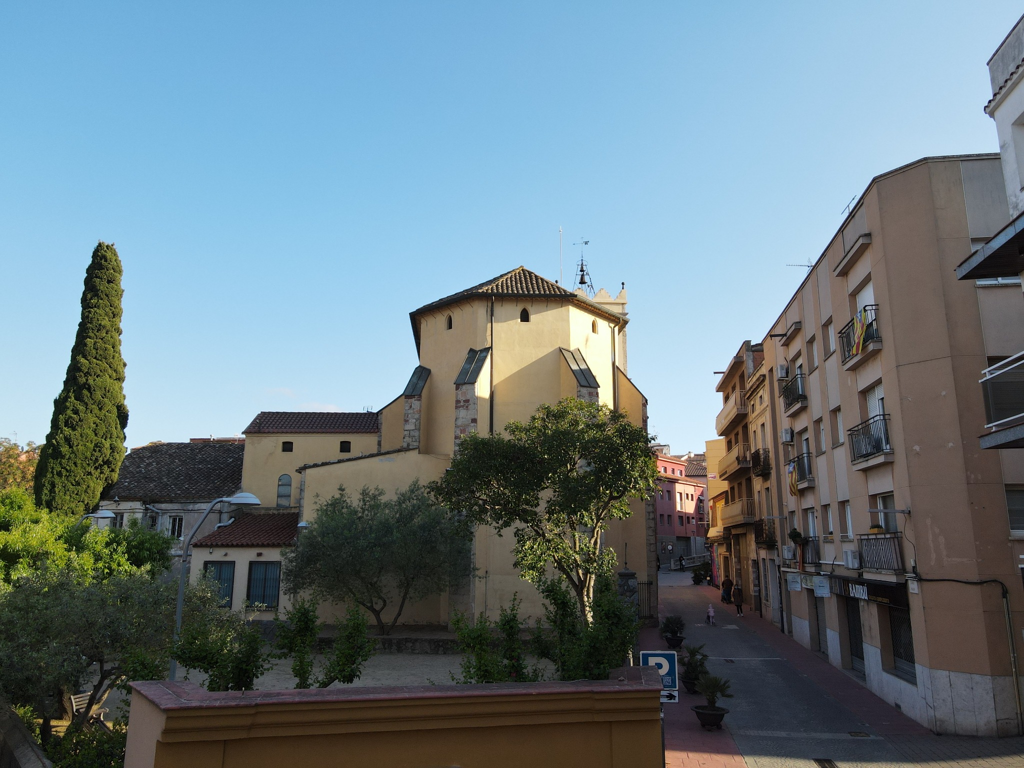 Antic hort del rector